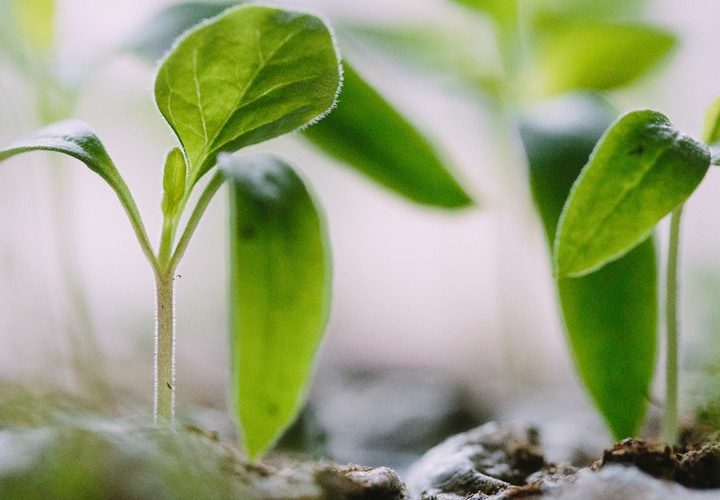How To Triple Your Consulting Leads