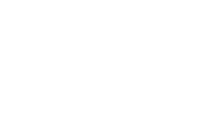 Vivid Logo White